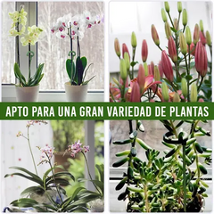 Soporte de Fijación para Plantas 🥇