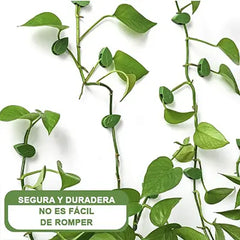 Clips de Sujeción para Pared