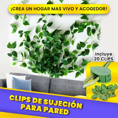 Clips de Sujeción para Pared