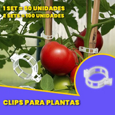 Clips para Plantas