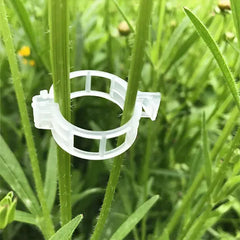 Clips para Plantas