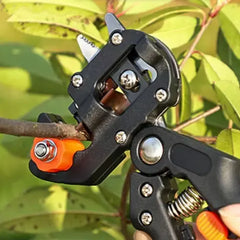 Tijera para Injertos