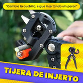 Tijera para Injertos