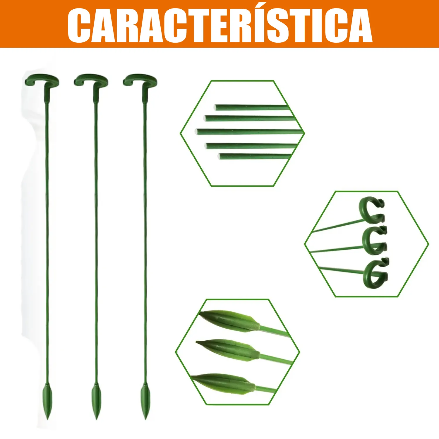 Soporte de Fijación para Plantas