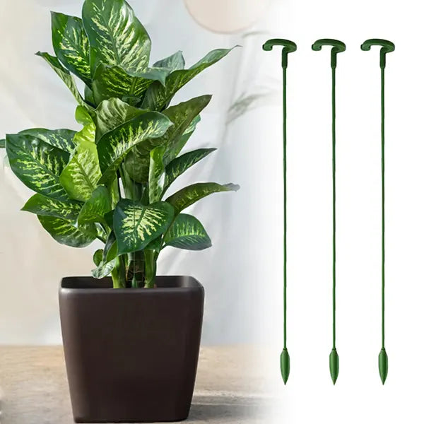 Soporte de Fijación para Plantas