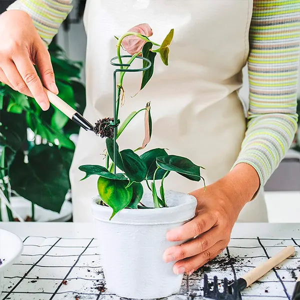 Soporte de Fijación para Plantas