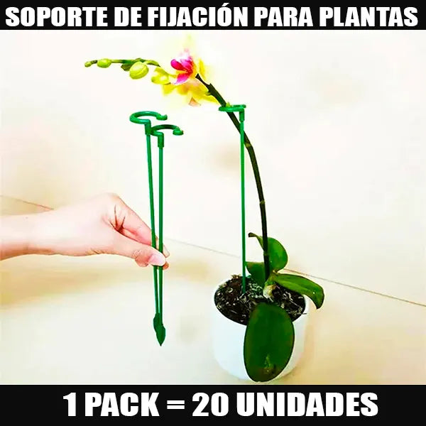 Soporte de Fijación para Plantas