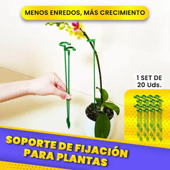 Soporte de Fijación para Plantas 🥇